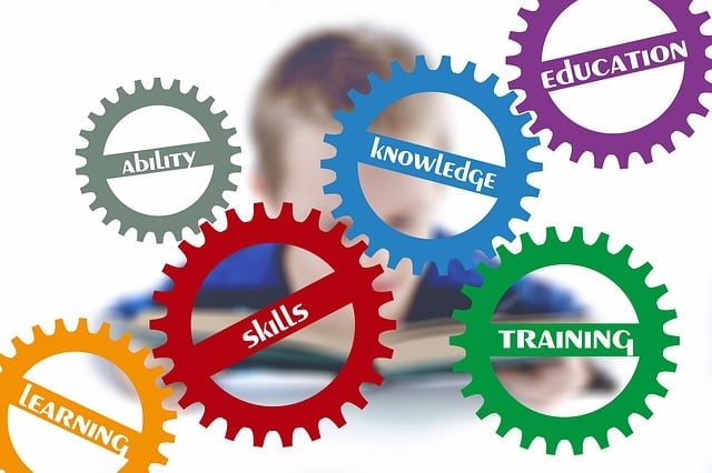 Free Skills Development Courses You Can Take Online